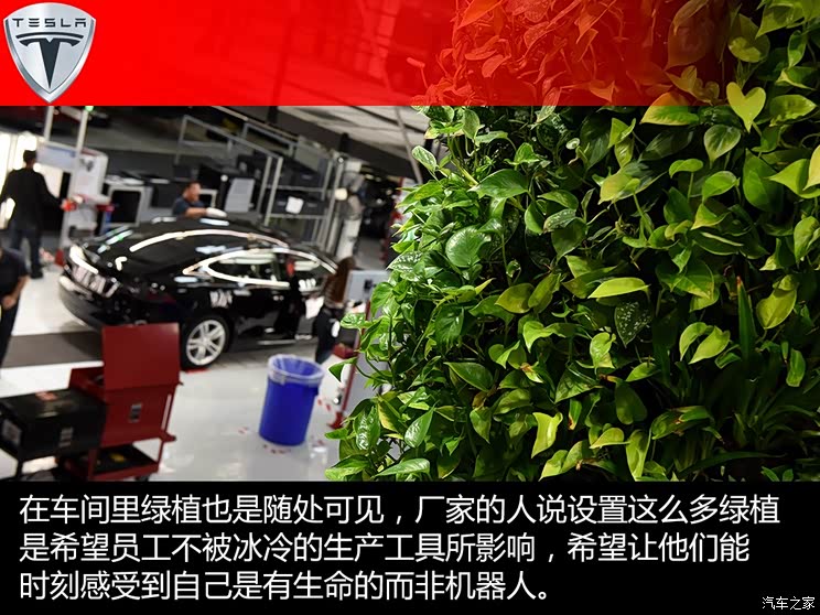 ��˹�� MODEL S 2015�� MODEL S 85D