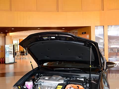 2014�� 300h ������