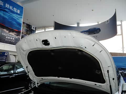 2015�� 2.5i �˶�������