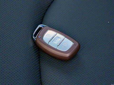 2015�� 1.6T DLX�����