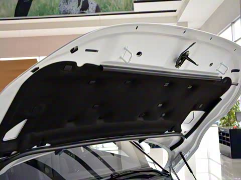 2015�� 2.0T ������ҫ��