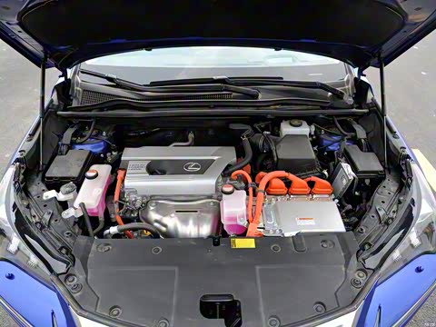 2015�� 300h ȫ�� ��â��