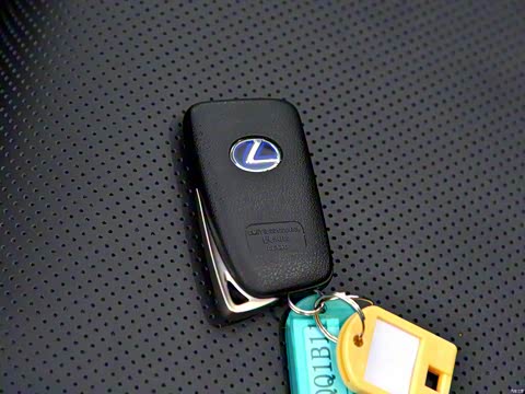 2015�� 300h ȫ�� ��â��