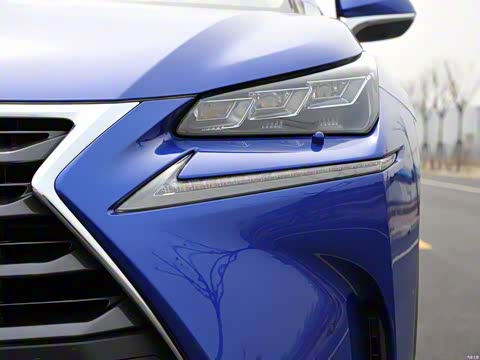 2015�� 300h ȫ�� ��â��