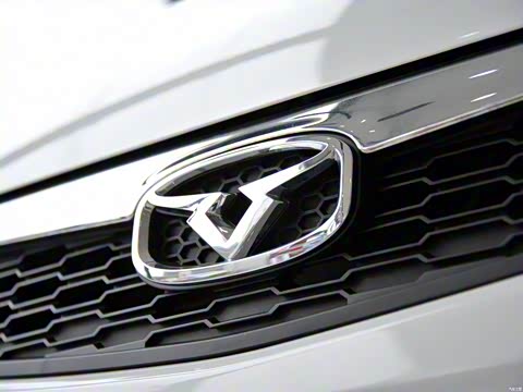 2015�� 1.5L �ֶ������