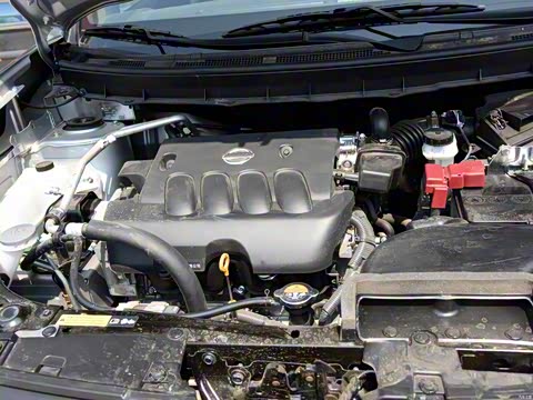 2015�� 2.0L �ֶ������캽��