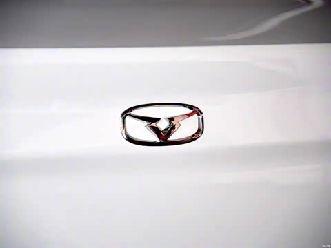 2015�� 1.5L �ֶ�������