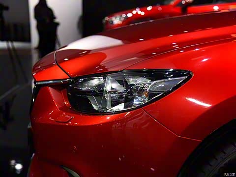 2015�� 2.5L ���������