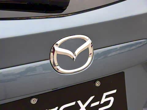 2015�� 2.5L �Զ������콢��