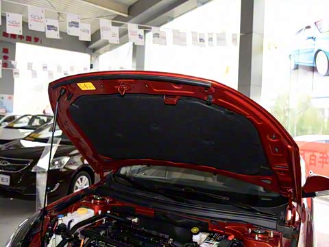 2015�� 1.6L �ֶ����а�