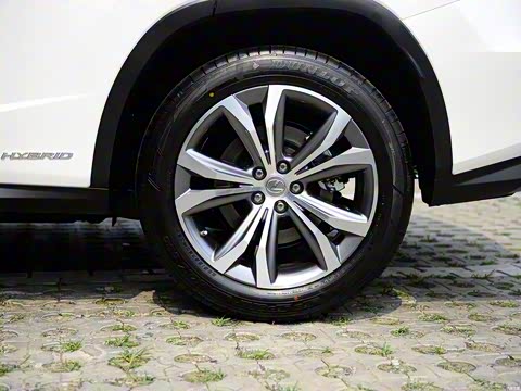 2016�� 450h ��������