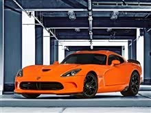 绝美官图第38季：仅孵化33只的致命毒蛇 蝰蛇SRT