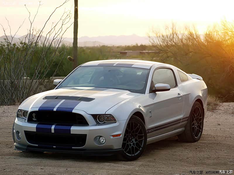 福特(进口) 野马 2013款 gt500