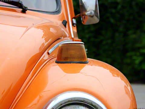 ��һ���׿ǳ�