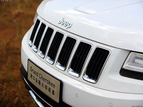 2014�� 3.0L ����������