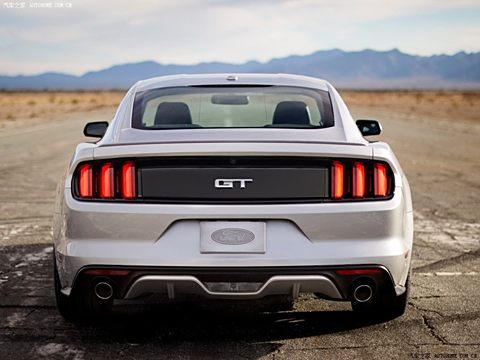 2015 5.0L GTֶ