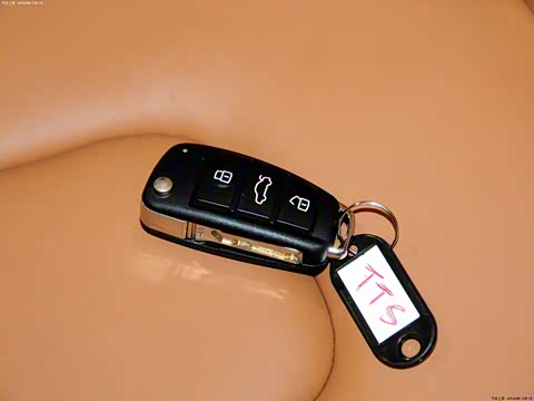 2011�� TTS Roadster 2.0TFSI quattro