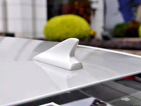 2013�� 28T ������