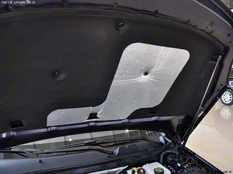 2013�� 2.0T �����˶���