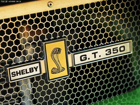 2013 GT350 Shelby