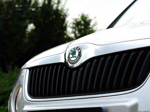 2013�� 1.8T DSG����