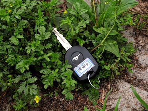 2013�� 3.7L �ֶ���׼��