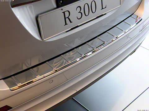 2010�� R 300 L ������