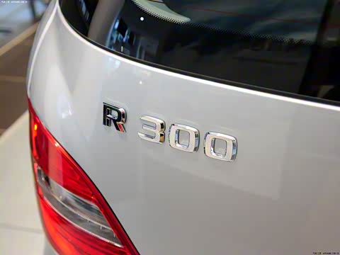 2010�� R 300 L ������