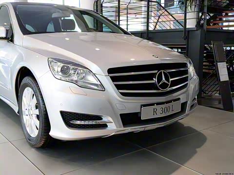 2010�� R 300 L ������