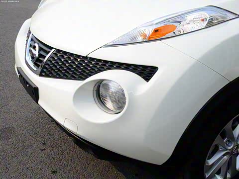 2011�� ������