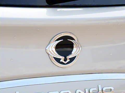 2015�� 2.0L �����ֶ��´���