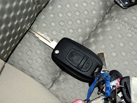 2015�� 1.5L �ֶ�������