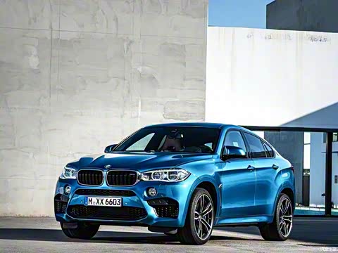 2015�� X6 M