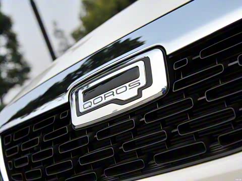 2015�� ����SUV 1.6T �Զ��Ŷ���