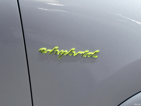 2015 Cayenne S E-Hybrid 3.0T ׼