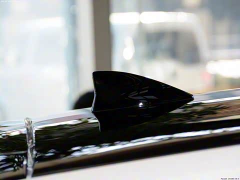 2014�� CT200h ���ʰ� ˫ɫ