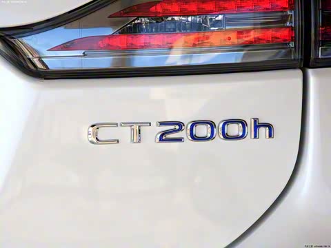 2014�� CT200h ���ʰ� ˫ɫ