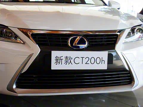 2014�� CT200h ���ʰ� ˫ɫ