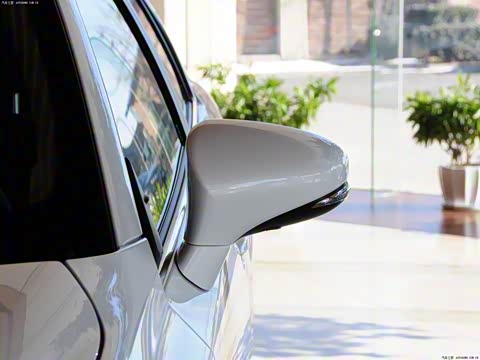 2014�� CT200h ���ʰ� ˫ɫ