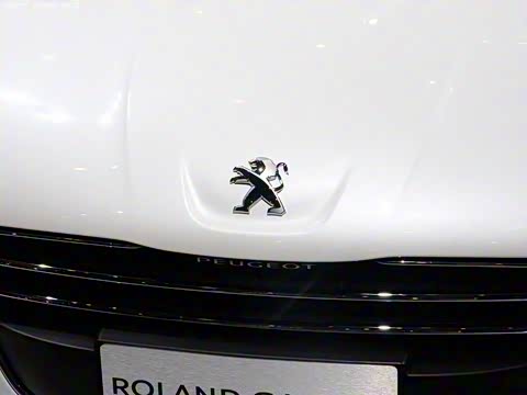 2014�� 2.3L ����������˹��