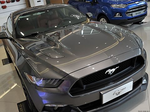 2015 5.0L GTֶ