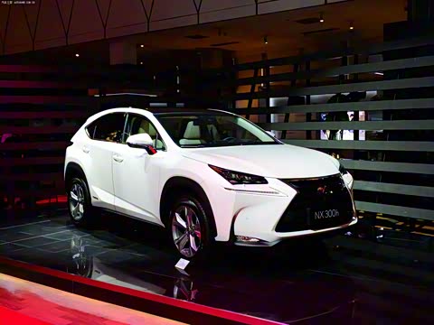 2015�� 300h ȫ�� ��â��