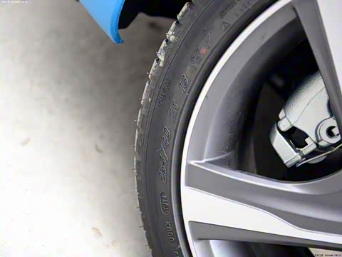 2015�� T5 �����˶���