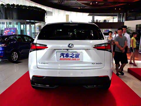 2015�� 300h ȫ�� ��â��