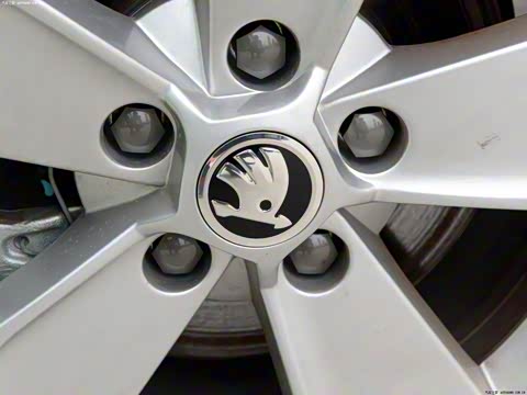 2014�� 1.4TSI �ֶ��Ųʰ�