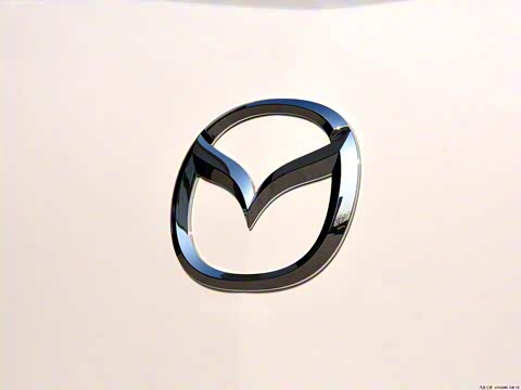 2012�� ���� 2.0L �ֶ��˶���