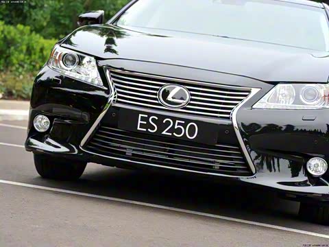 2013�� 250 ������