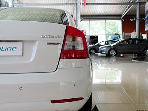 2013 1.4TSI GreenLine2