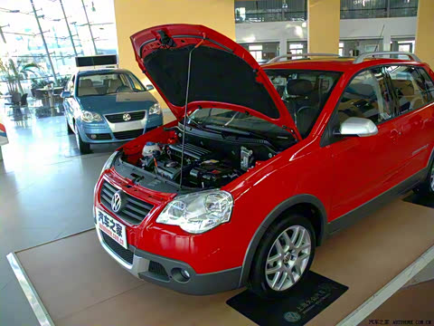 2007�� 1.6L Cross Polo AT