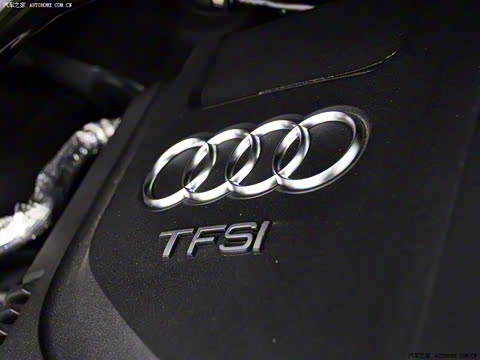 2010�� 2.0TFSI �˶���